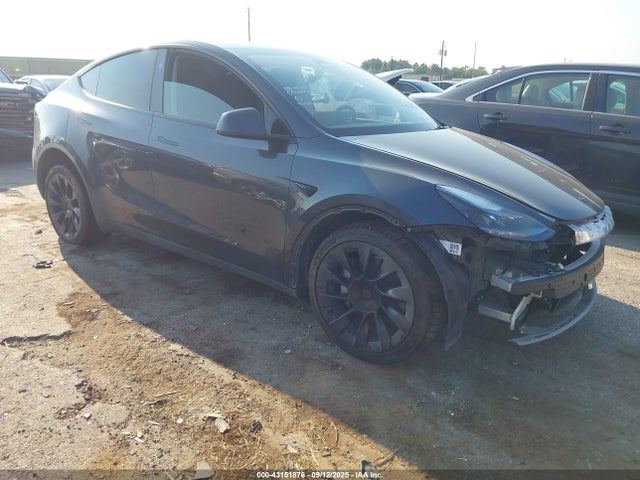 2024 TESLA MODEL Y 7SAYGDEE0RA234017 Photo 0