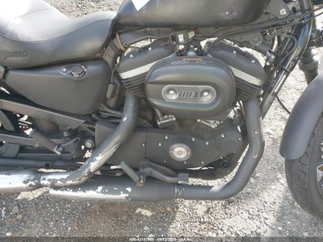 2010 HARLEY-DAVIDSON XL883 1HD4LE214AC419253 Photo 7