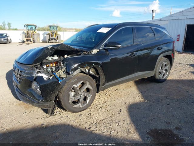 2024 HYUNDAI TUCSON PLUG-IN HYBRID KM8JFDD20RU209102 Photo 1