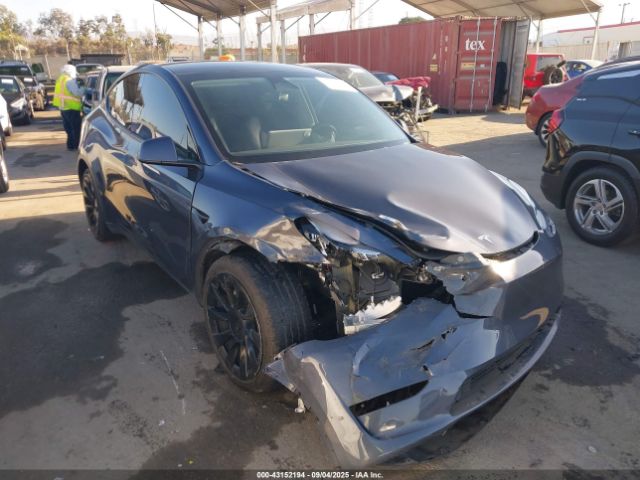 2023 TESLA MODEL Y 7SAYGDEE9PA112818