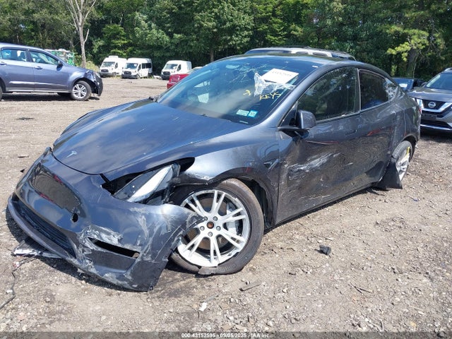 2024 TESLA MODEL Y 7SAYGDEE5RA225734 Photo 1