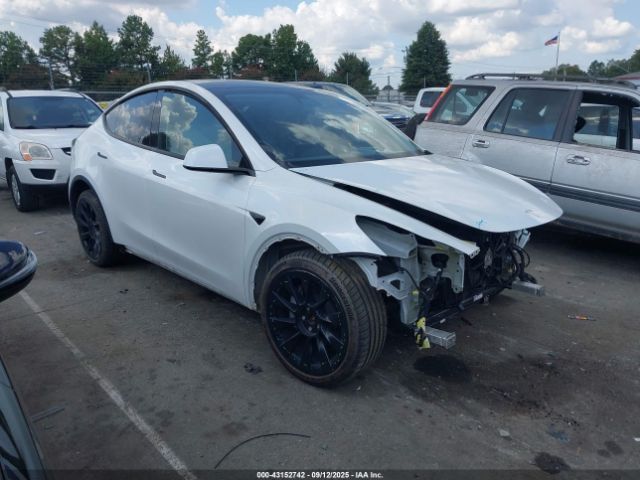 2023 TESLA MODEL Y 7SAYGDEE5PA041200 Photo 0
