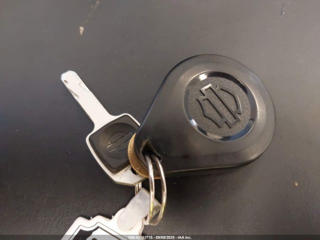 2020 HARLEY-DAVIDSON FXLRS 1HD1YWK19LB023998 Photo 10