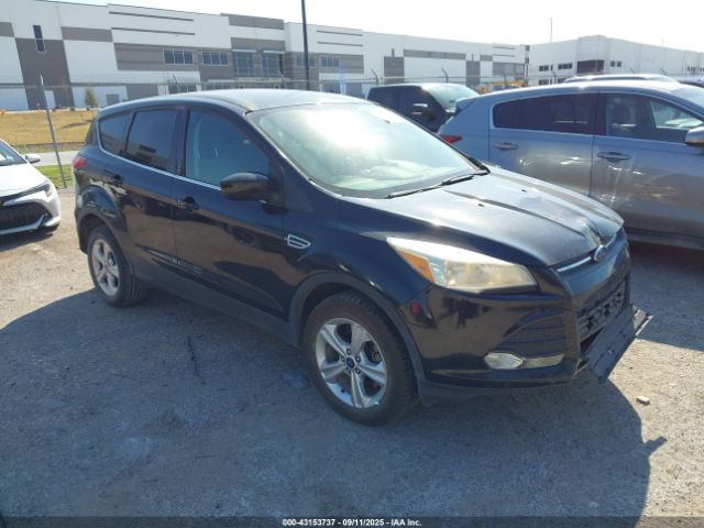 2014 FORD ESCAPE 1FMCU0GX1EUA23853