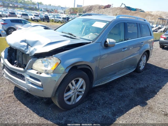 2010 MERCEDES-BENZ GL 450 4JGBF7BE5AA577364 Photo 1