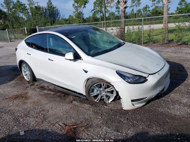2020 TESLA MODEL Y 5YJYGDEE1LF053466 Photo 0