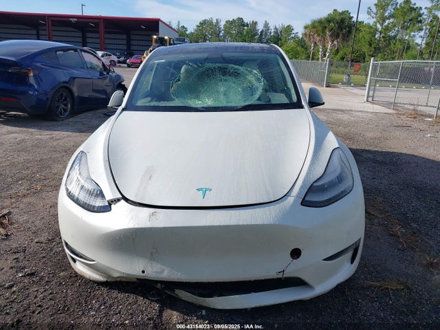 5YJYGDEE1LF053466 Tesla Model Y