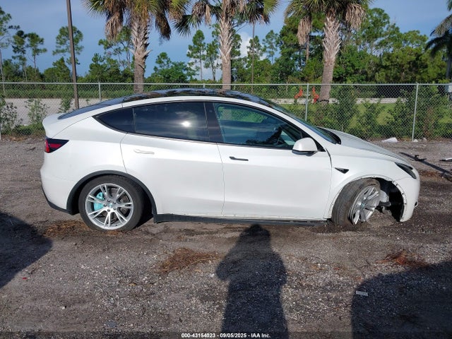 5YJYGDEE1LF053466 Tesla Model Y