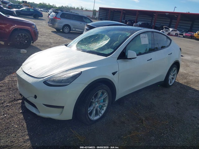 2020 TESLA MODEL Y 5YJYGDEE1LF053466 Photo 1