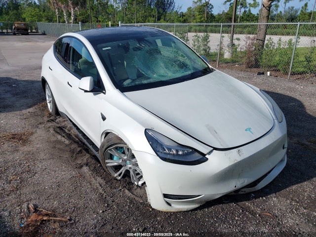 2020 TESLA MODEL Y 5YJYGDEE1LF053466 Photo 5