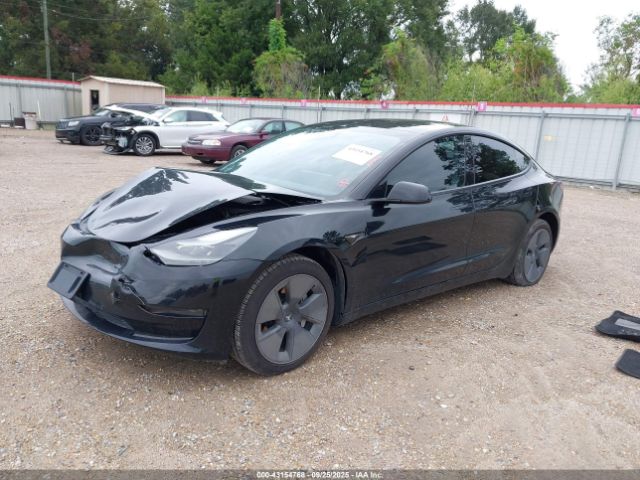2023 TESLA MODEL 3 5YJ3E1EAXPF436257 Photo 1