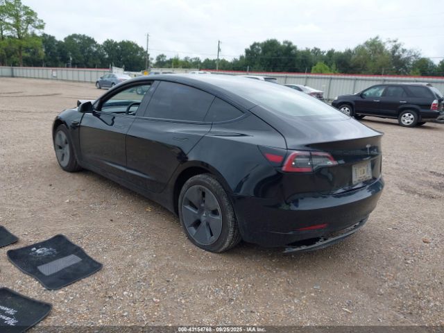 2023 TESLA MODEL 3 5YJ3E1EAXPF436257 Photo 2