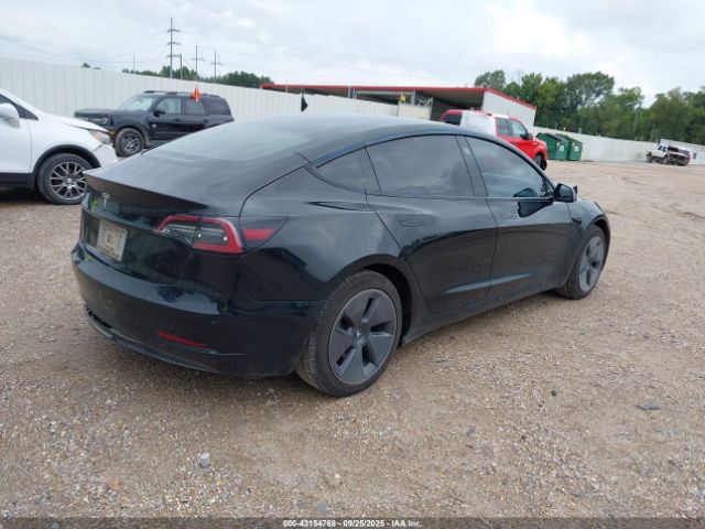 2023 TESLA MODEL 3 5YJ3E1EAXPF436257 Photo 3