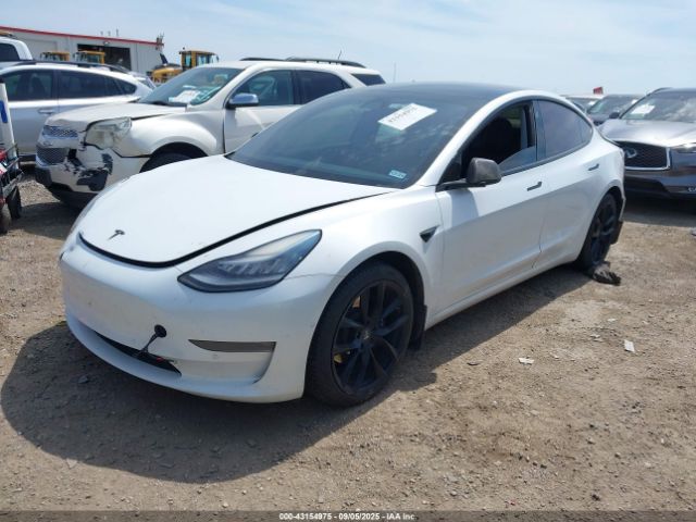 2019 TESLA MODEL 3 5YJ3E1EB3KF387050 Photo 1