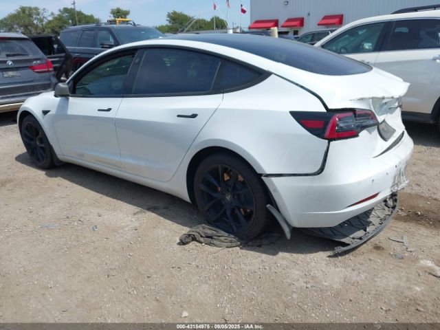 2019 TESLA MODEL 3 5YJ3E1EB3KF387050 Photo 2