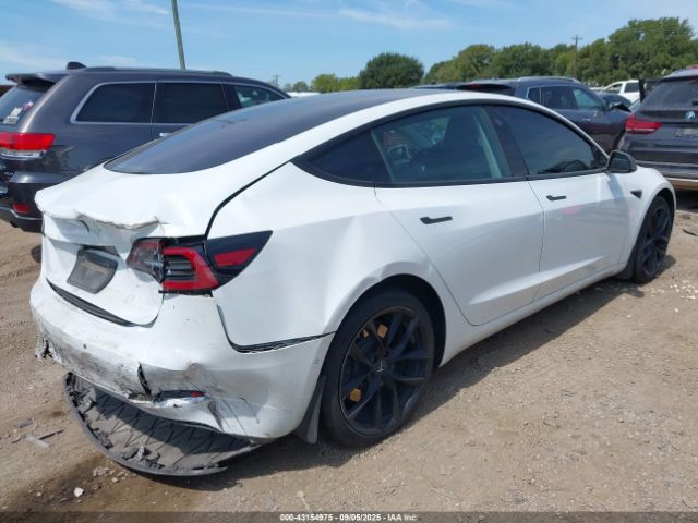 2019 TESLA MODEL 3 5YJ3E1EB3KF387050 Photo 3