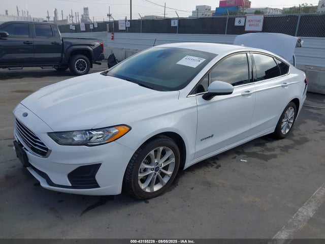 Ford 2019 2019 3FA6P0LU7KR200791 Image 2