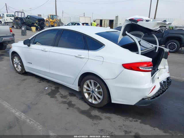 Ford 2019 2019 3FA6P0LU7KR200791 Image 3