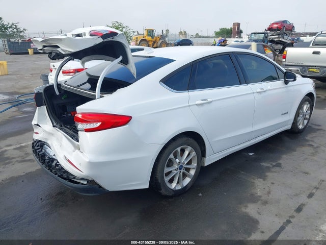 Ford 2019 2019 3FA6P0LU7KR200791 Image 4