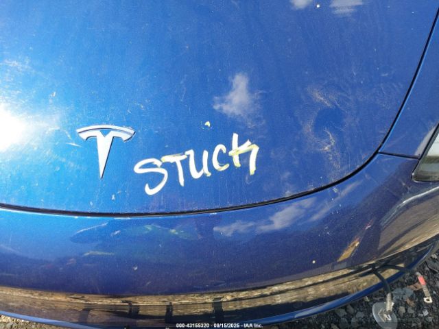 2019 TESLA MODEL 3 5YJ3E1EA6KF428794 Photo 9