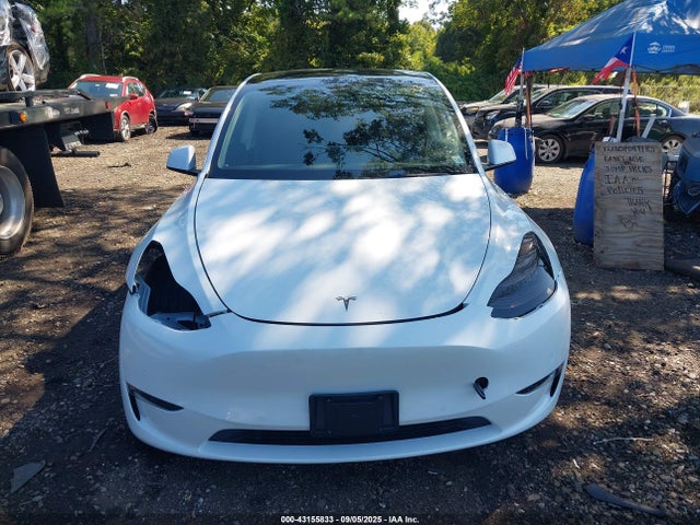 5YJYGDEE3MF295497 Tesla 2021