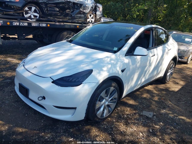 5YJYGDEE3MF295497 Tesla 2021