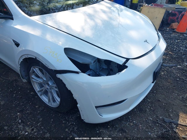 5YJYGDEE3MF295497 Tesla 2021