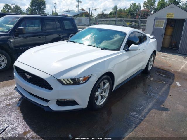 2017 FORD MUSTANG 1FA6P8AM6H5259084 Photo 1