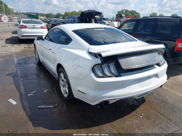 2017 FORD MUSTANG 1FA6P8AM6H5259084 Photo 2