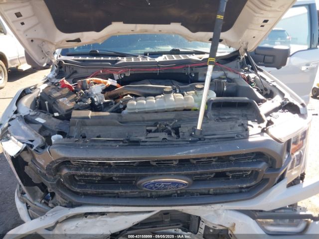 2023 FORD F-150 1FTFW1ED8PFD06820 Photo 9