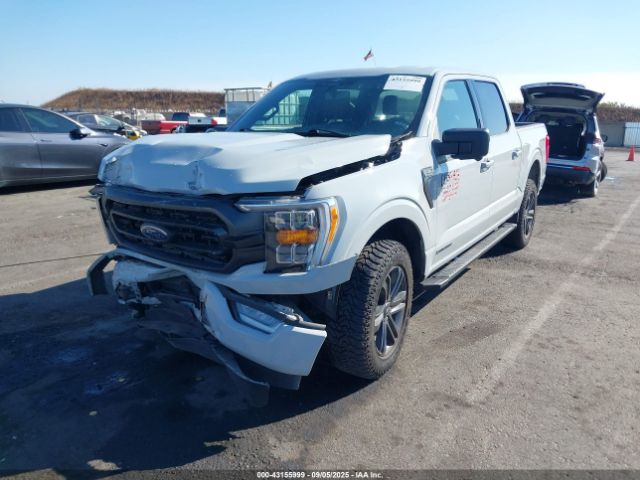 2023 FORD F-150 1FTFW1ED8PFD06820 Photo 1