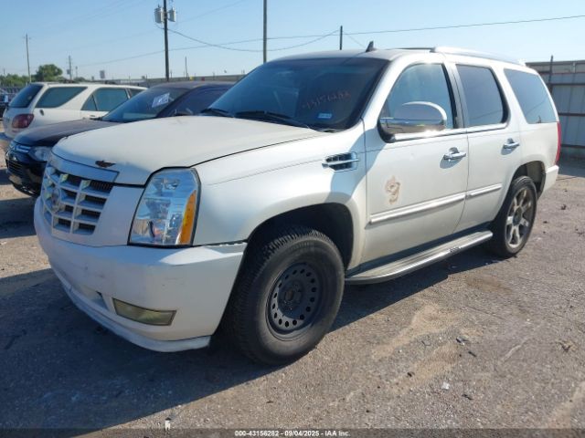 2012 CADILLAC ESCALADE 1GYS3BEF4CR224553 Photo 1