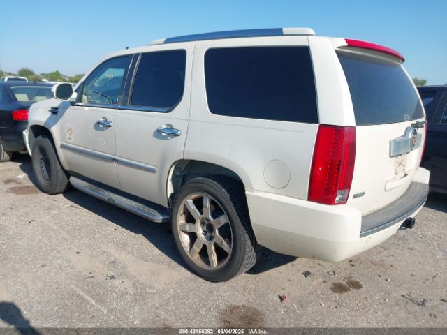 2012 CADILLAC ESCALADE 1GYS3BEF4CR224553 Photo 2