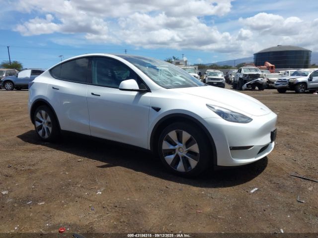 2023 TESLA MODEL Y 7SAYGDEE1PF752864 Photo 0