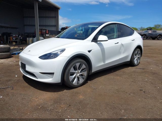 2023 TESLA MODEL Y 7SAYGDEE1PF752864 Photo 1