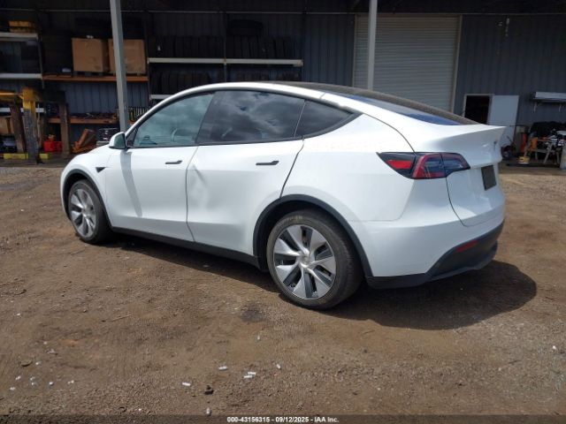 2023 TESLA MODEL Y 7SAYGDEE1PF752864 Photo 2