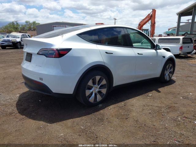2023 TESLA MODEL Y 7SAYGDEE1PF752864 Photo 3