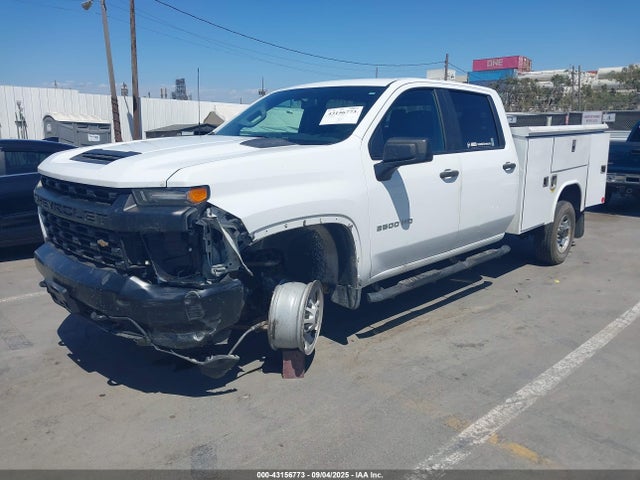 1GB1WLE79LF300622 Chevrolet l8t - sidi, vvt, cast iron