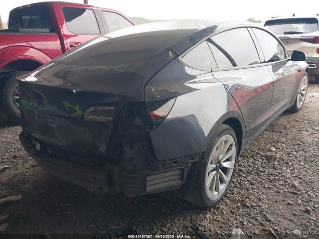 2023 TESLA MODEL 3 5YJ3E1EA2PF575556 Photo 3