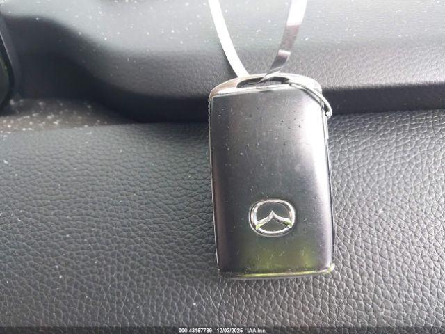 2024 MAZDA CX-90 PHEV JM3KKDHA9R1111488 Photo 10