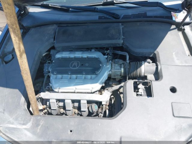 2009 ACURA TL 19UUA865X9A018742 Photo 9