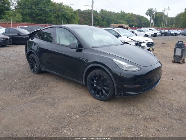 2024 TESLA MODEL Y 7SAYGDEE6RA241229 Photo 0