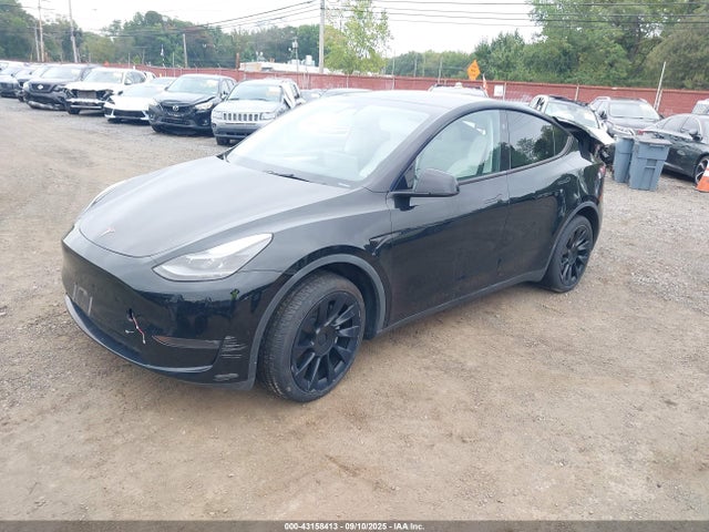 2024 TESLA MODEL Y 7SAYGDEE6RA241229 Photo 1