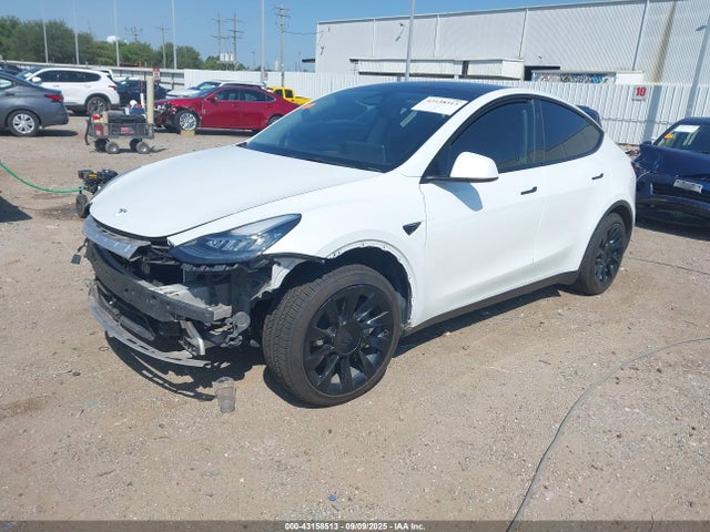 2023 TESLA MODEL Y 7SAYGDEE3PA143014 Photo 1