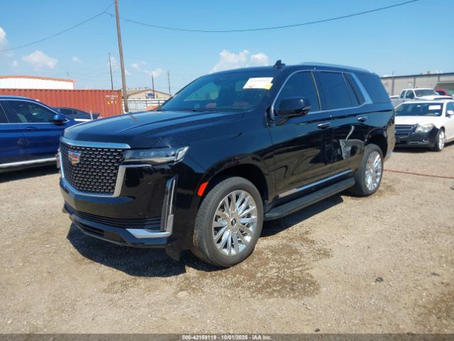 2023 CADILLAC ESCALADE 1GYS4BKL6PR459002 Photo 1