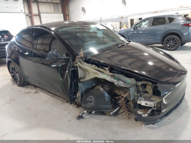 2023 TESLA MODEL Y 7SAYGDEE2PF879073 Photo 5