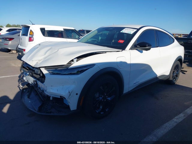 Ford 2024 2024 3FMTK1R49RMA01754 Image 2