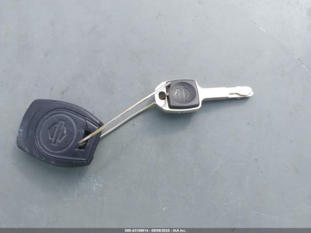 2023 HARLEY-DAVIDSON RH975 1HD1ZF119PB317986 Photo 10