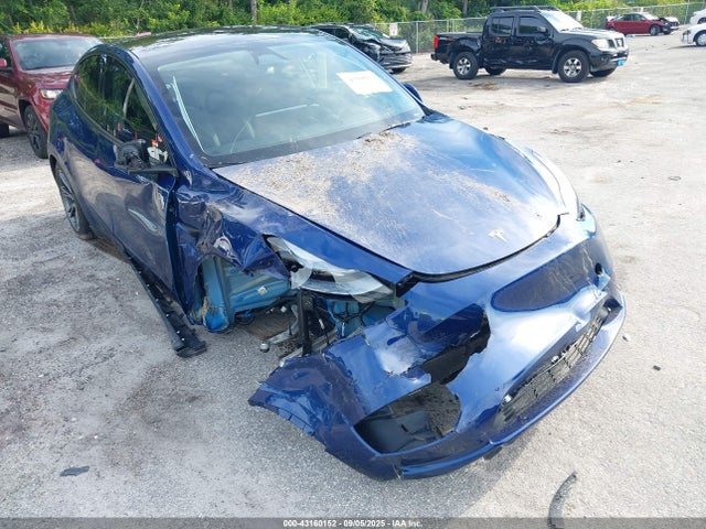 2025 TESLA MODEL Y 7SAYGDED6SF265501 Photo 5