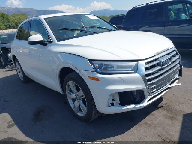 2019 AUDI Q5 WA1ANAFY1K2090351 Photo 0